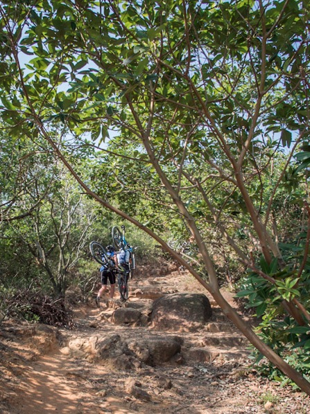 Lantau Trail Stage 12-9 Bikers
