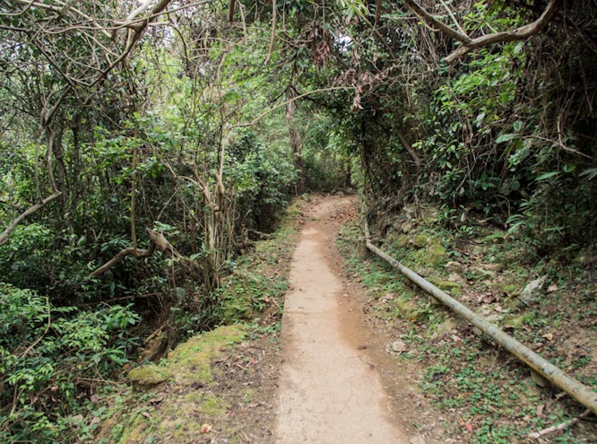 From Lai Chi Wo to Wu Kau Tang 3