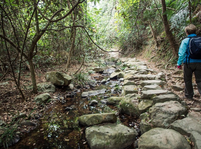 From Lai Chi Wo to Wu Kau Tang 4