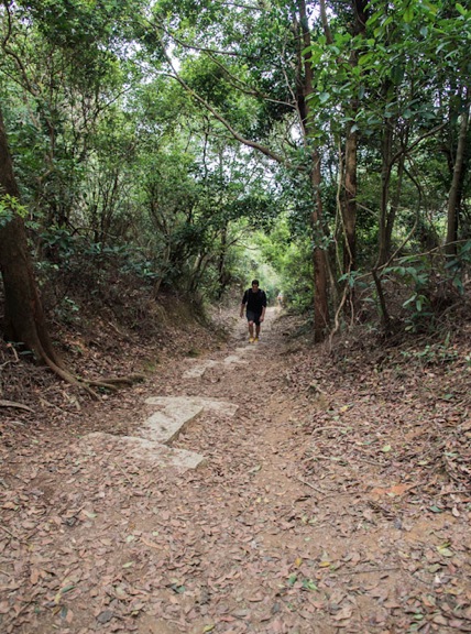 From Lai Chi Wo to Wu Kau Tang 5