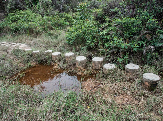 MeetUp Hike March 2013-3