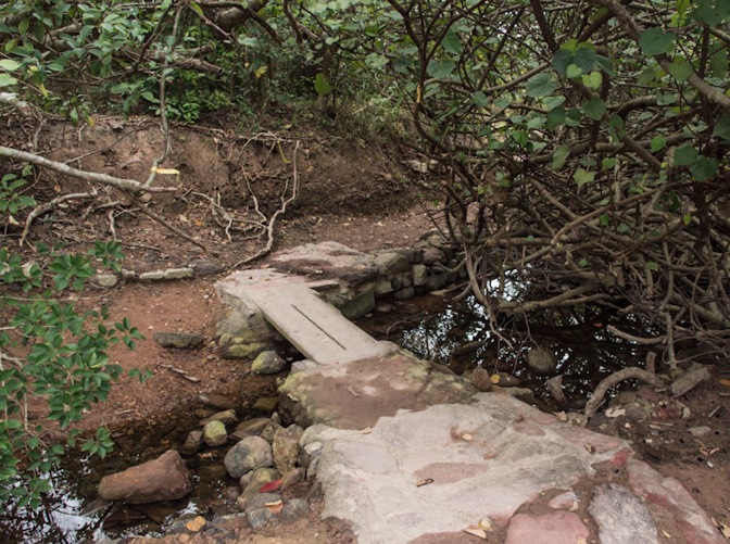 MeetUp Hike March 2013-4