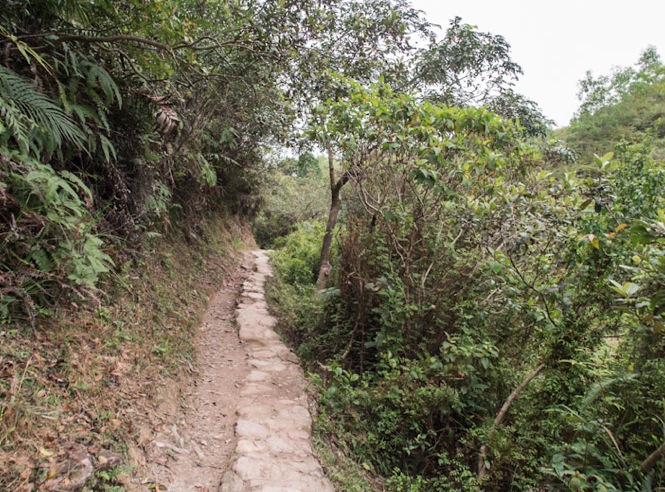 MeetUp Hike March 2013-6