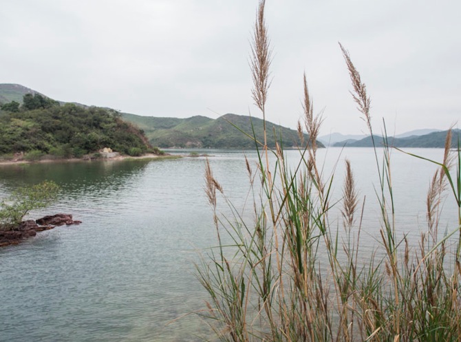 MeetUp Hike March 2013-8