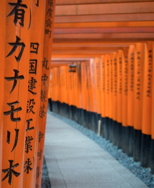 Fushimi Inari Kyoto 5