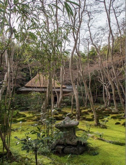 Gioji Temple in Arashiyama 2