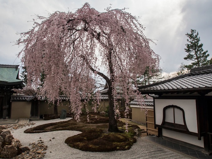 Kodaiji Temple in Kyoto 2