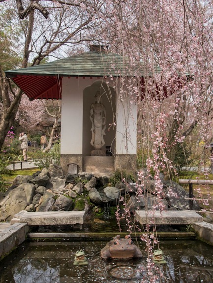 Tenryuji Temple in Arashiyama 3