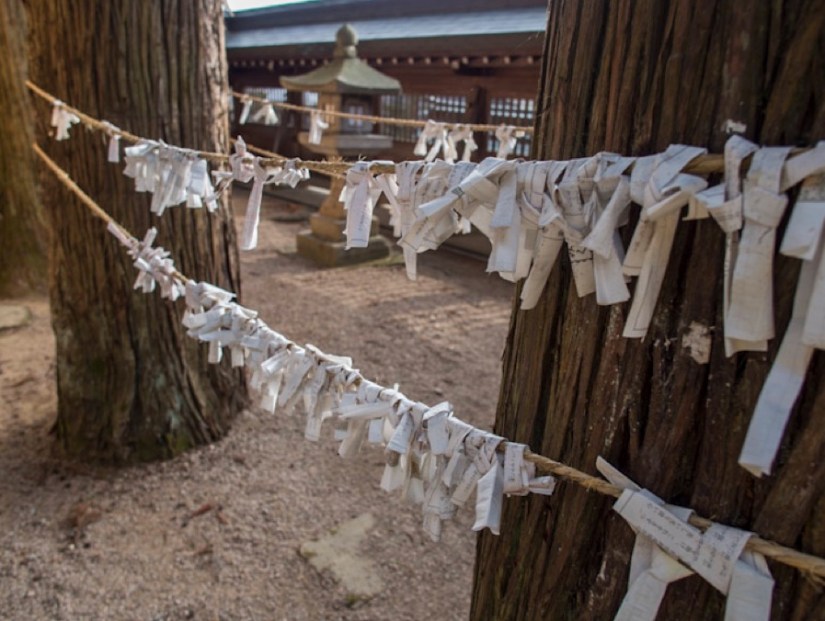Sakurayama Hachimangu Shrine Takayama 2