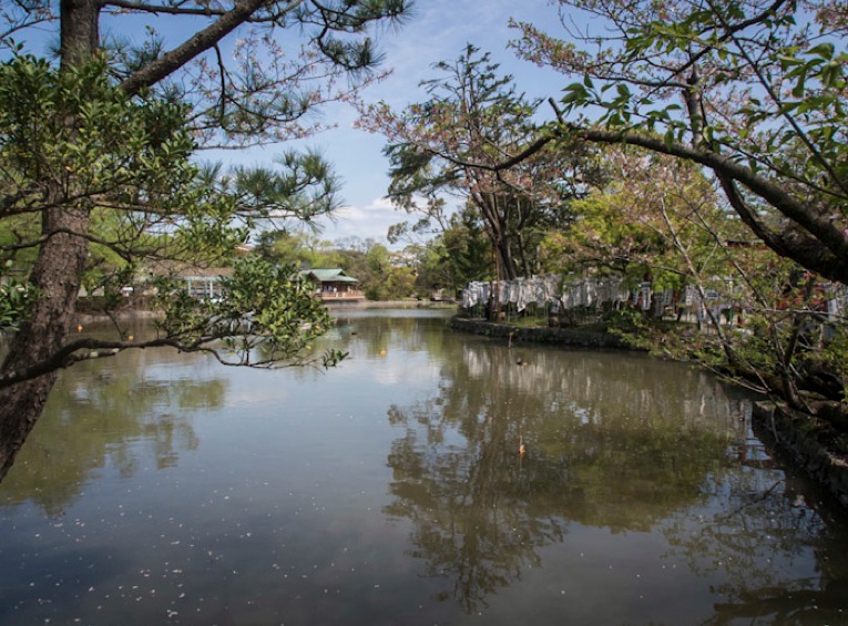 Tsurugaoka Hachiman-gū Kamakura 2