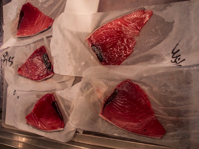 Tuna at Tsukiji FIsh Market 12