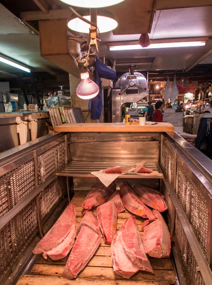 Tuna at Tsukiji FIsh Market 13