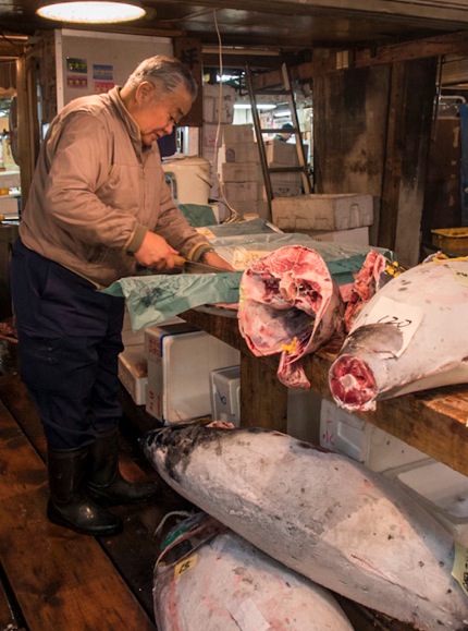 Tuna at Tsukiji FIsh Market 3