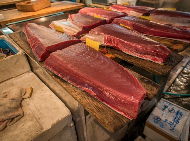 Tuna at Tsukiji FIsh Market 6