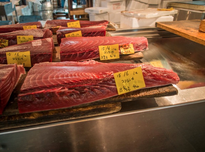 Tuna at Tsukiji FIsh Market 7