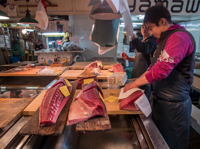 Tuna at Tsukiji FIsh Market 9
