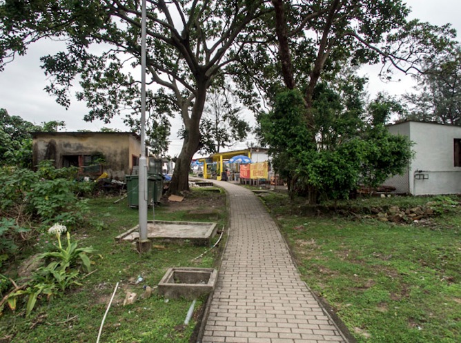 MacLehose Trail Stage 2-6