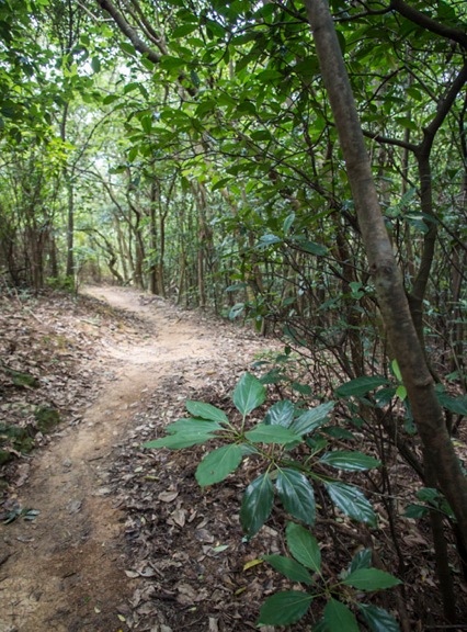MacLehose Trail Stage 3-10