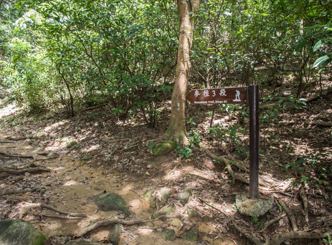 MacLehose Trail Stage 3-2