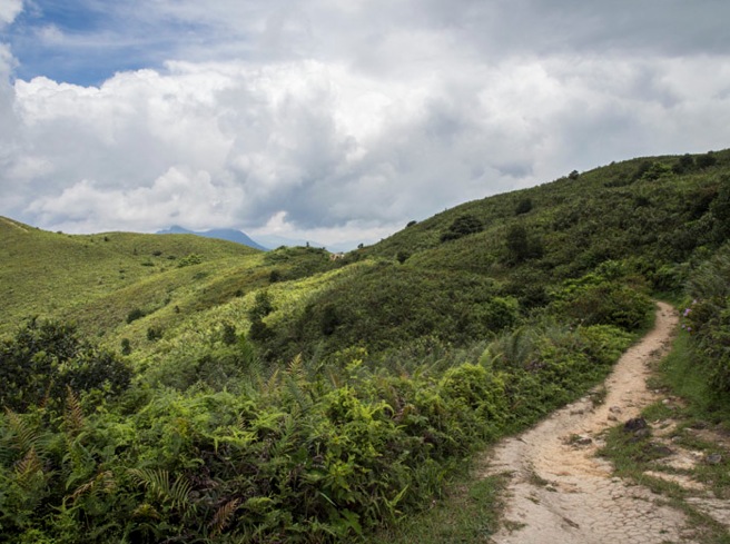 MacLehose Trail Stage 3-6
