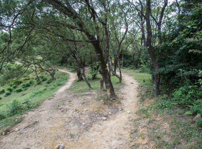 MacLehose Trail Stage 3-8