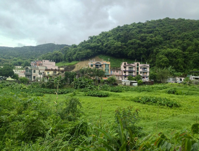 Tung Chung to Mui Wo Hike July 2013-2