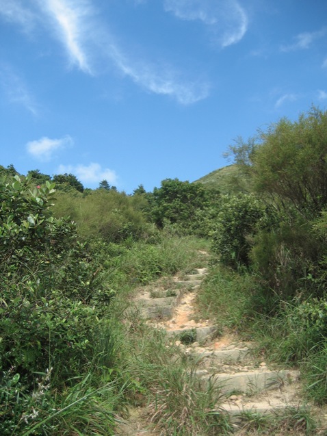 Buffalo Hike Hong Kong 3