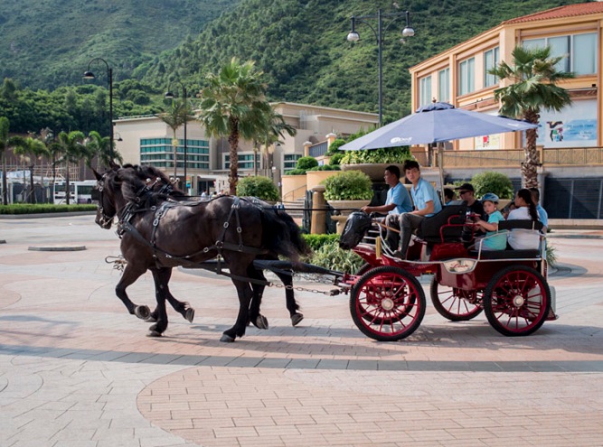 DB Auberge Horse Carriage