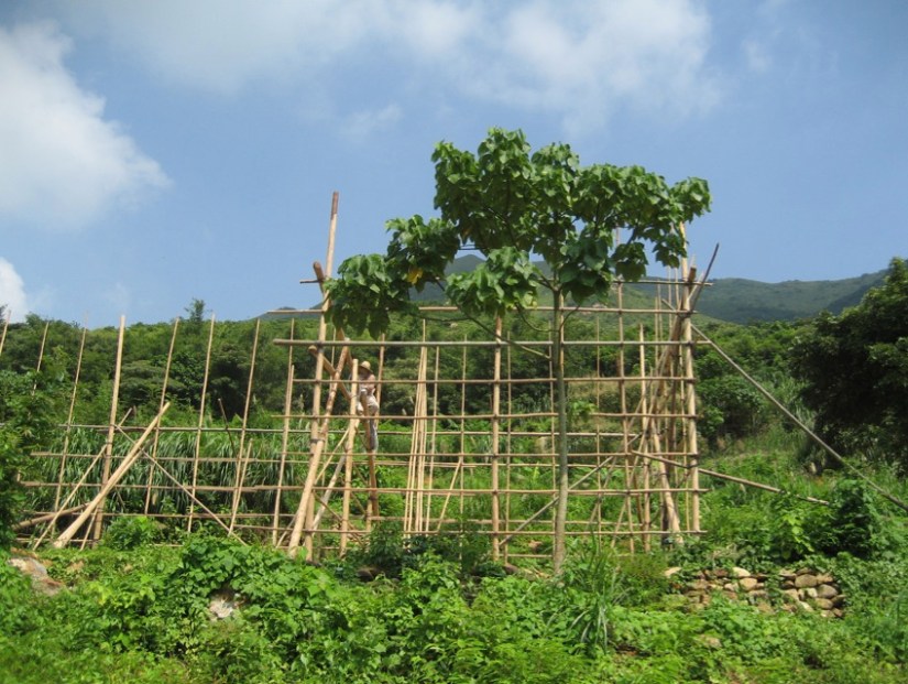 Shek Pik to Tai O Lantau Hike Hong Kong 9 Yi O Bamboo Scaffolding
