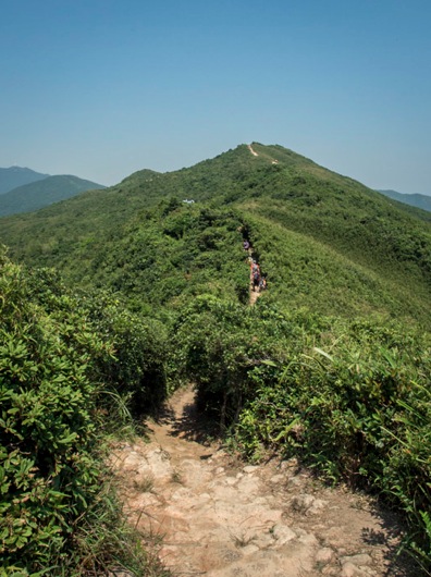 Green Power Trainings Hike 25km 10 Dragon's Back