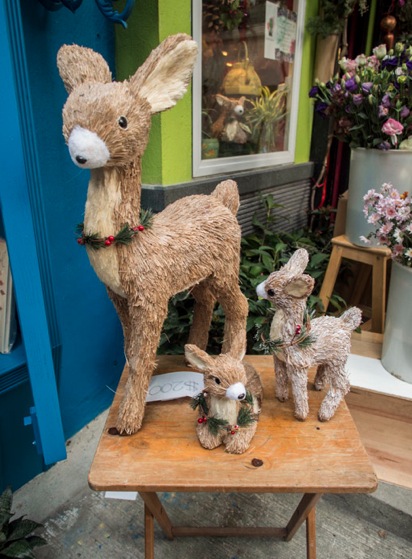 Sheung Wan Walk 4 Flowers