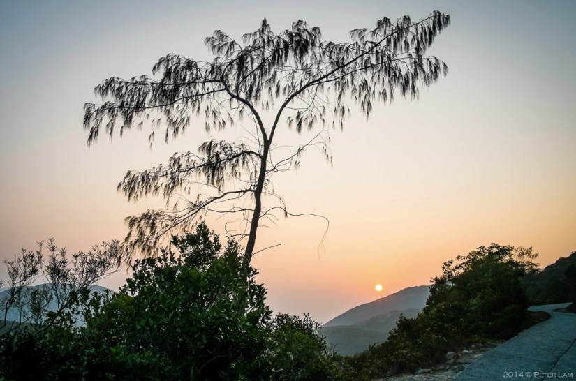 Interview with Peter Lam Photography 4