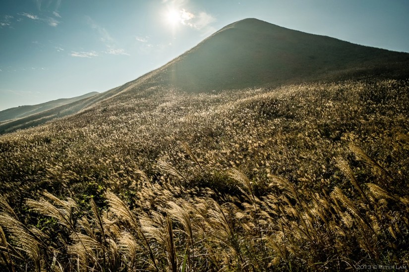 Interview with Peter Lam Photography 7