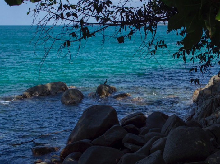 Lam Ru National Park 1