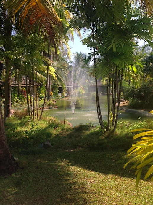 Le Meridien Khao Lak 1