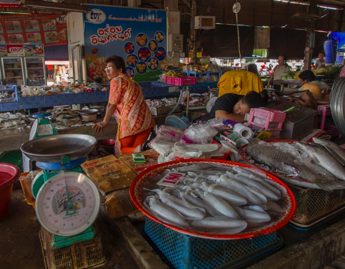 Takua Pa New Town Market 3