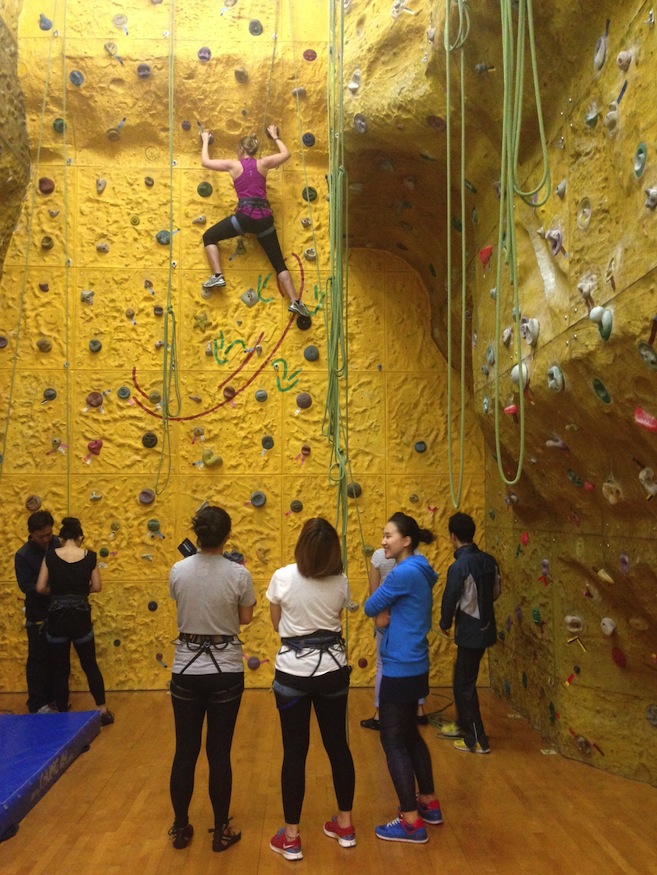 YMCA Indoor Rock Climbing Wall 1