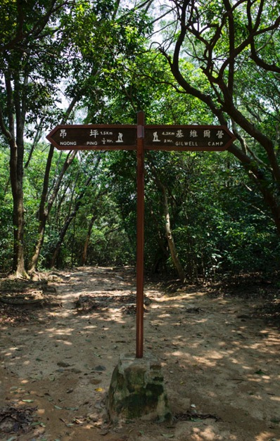 MacLehose Trail 4-5