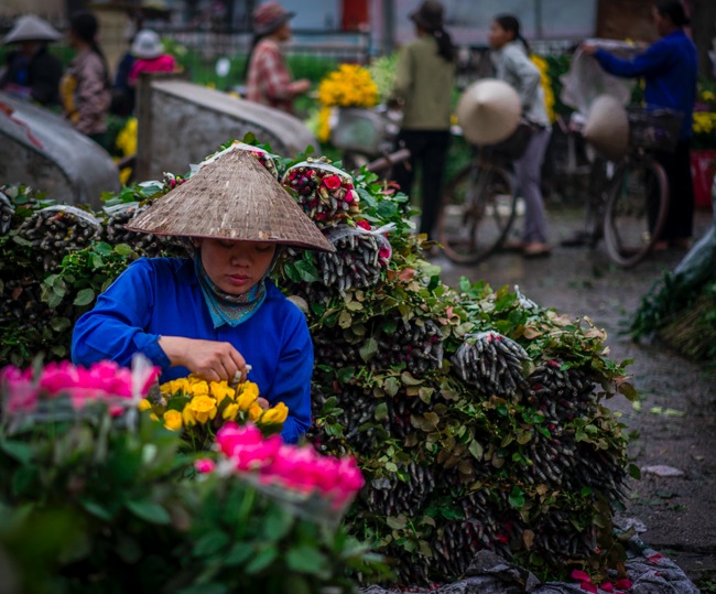 Hanoi Flower Market 12