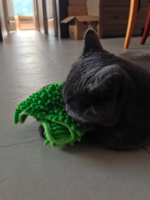 Sam with his green toy