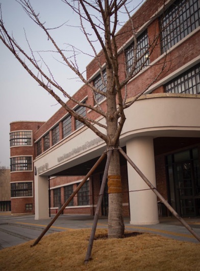 Seoul Museum of Modern Art 2013-0