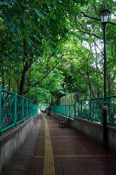 Yau Mai Tai Walk - 1 Footpath behind Gun Club Hill Barracks