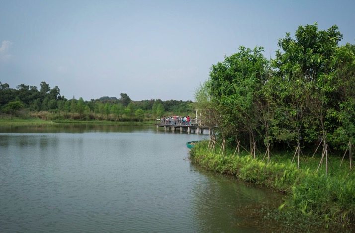 Hong Kong Wetlands Park 4