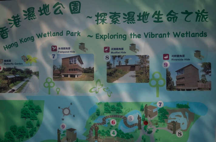 Hong Kong Wetlands Park 7