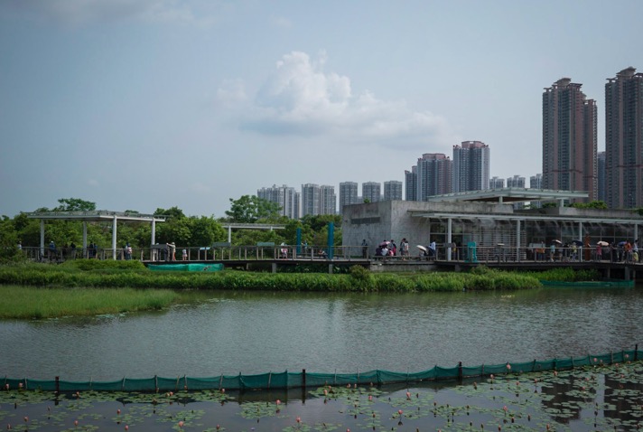 Hong Kong Wetlands Park 8