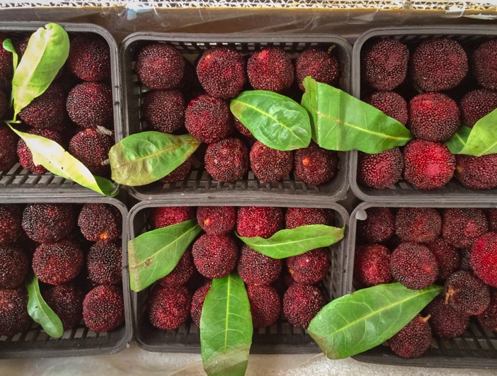 Chinese Strawberry Waxberry Yumberry 1