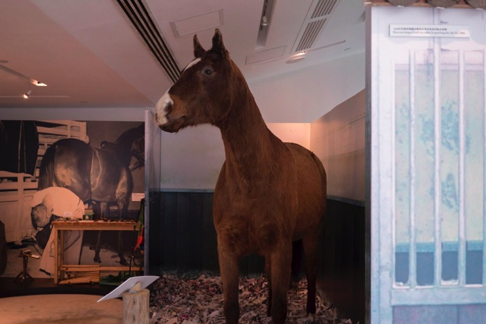 The Hong Kong Racing Museum Sep 2015-4