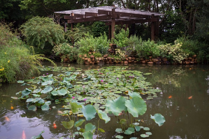 Tai Po Waterfront Park Sep 2015-7