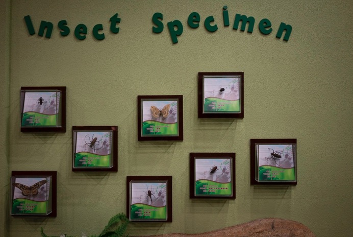 Tai Po Waterfront Park Sep 2015-9