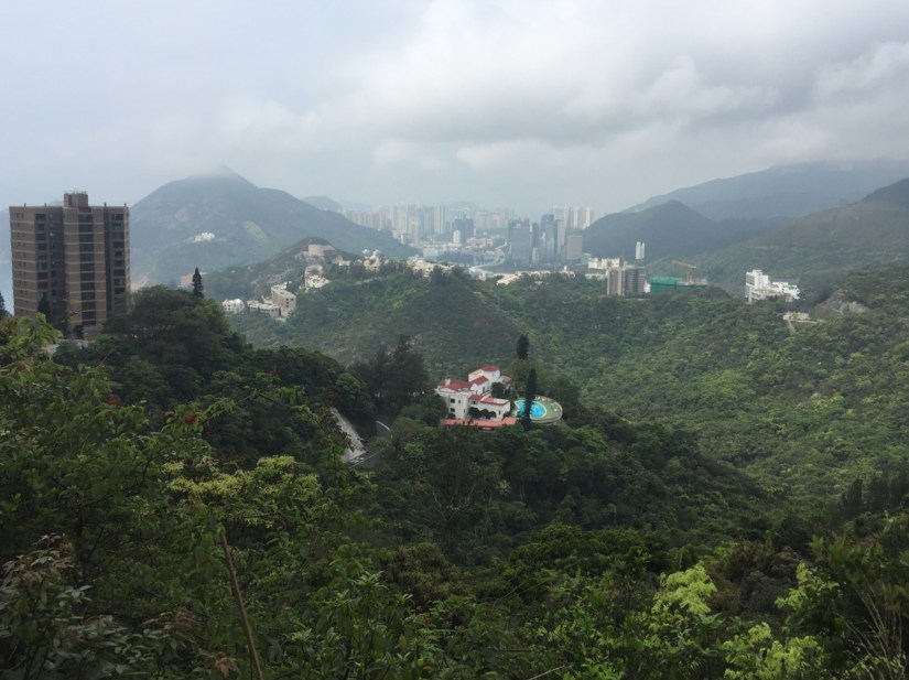 Around Violet Hill April 2016-3